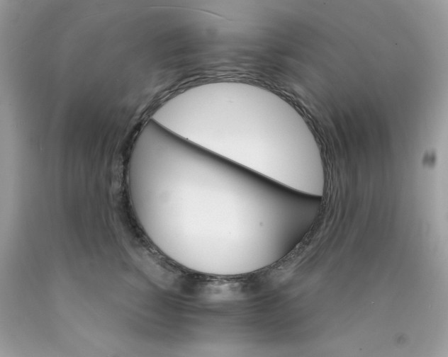 X0000089940760200707201903