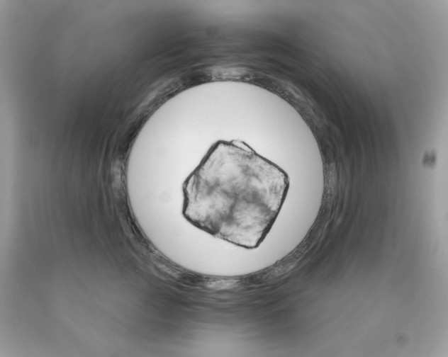 X0000089940761200707201903