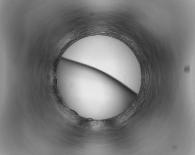 X0000089940762200707201903