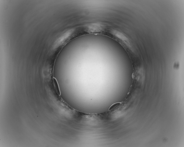 X0000089940763200707201903