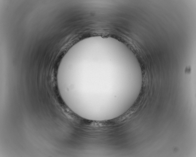 X0000089940764200707201903