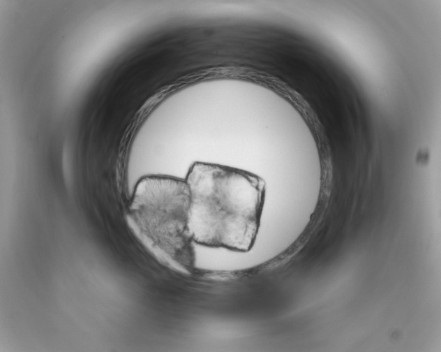 X0000089940765200707201903