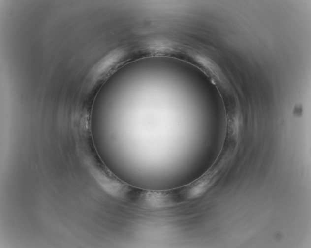 X0000089940766200707201903