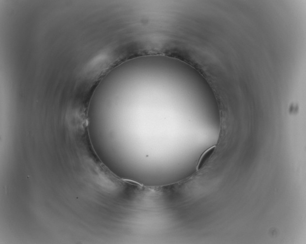 X0000089940768200707201903