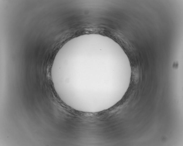 X0000089940770200707201902