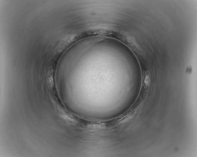 X0000089940771200707201902