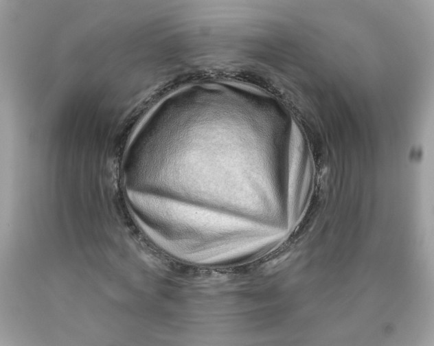 X0000089940772200707201902