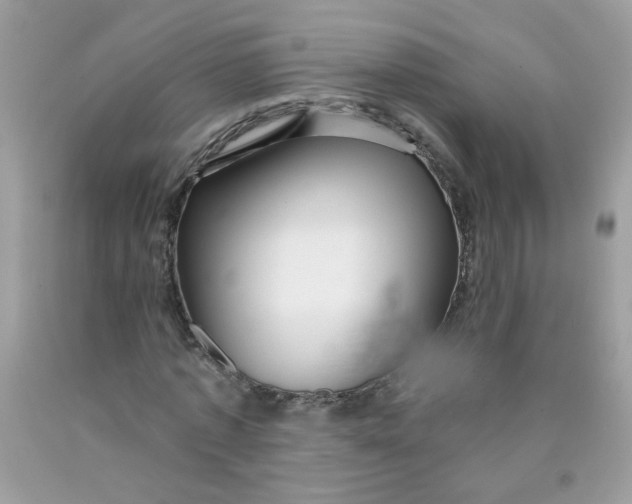 X0000089940773200707201902