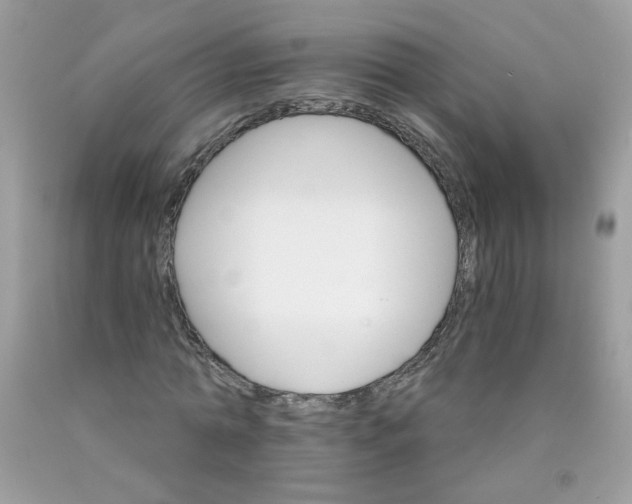 X0000089940774200707201902