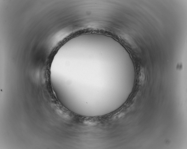 X0000089940776200707201902