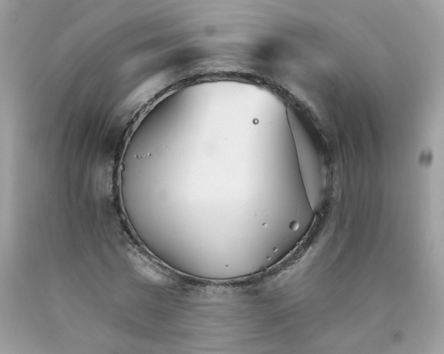 X0000089940777200707201902