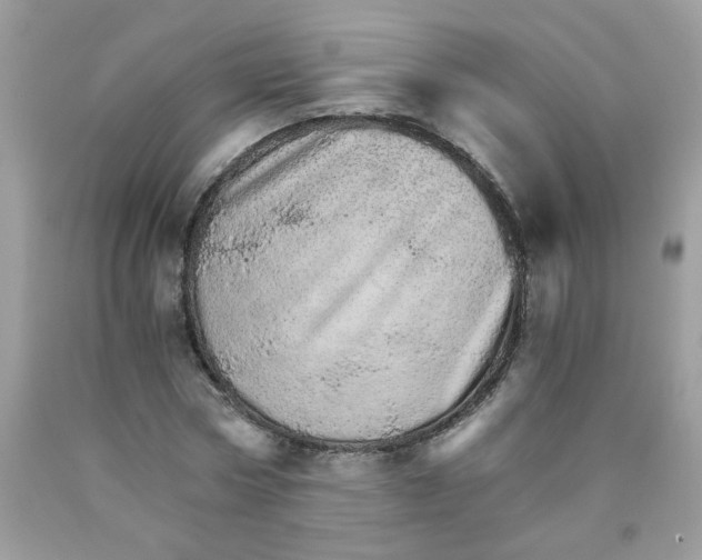 X0000089940778200707201902