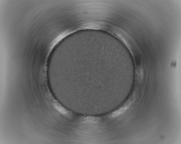 X0000089940779200707201902