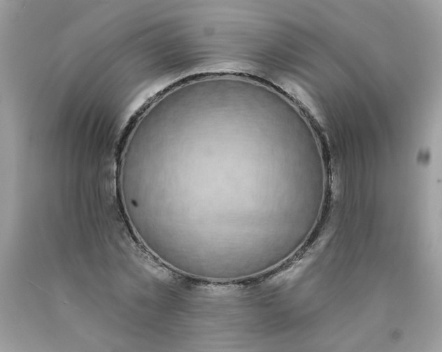 X0000089940781200707201902