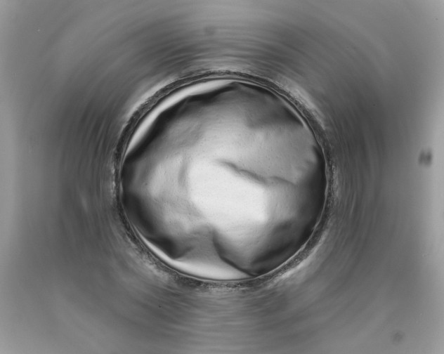 X0000089940782200707201902