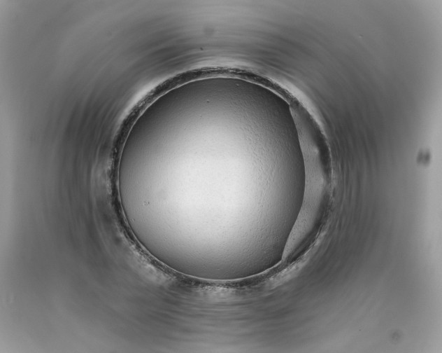 X0000089940783200707201902