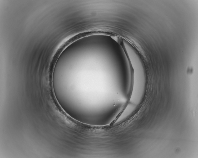 X0000089940784200707201902