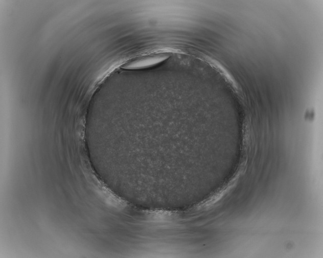 X0000089940785200707201902