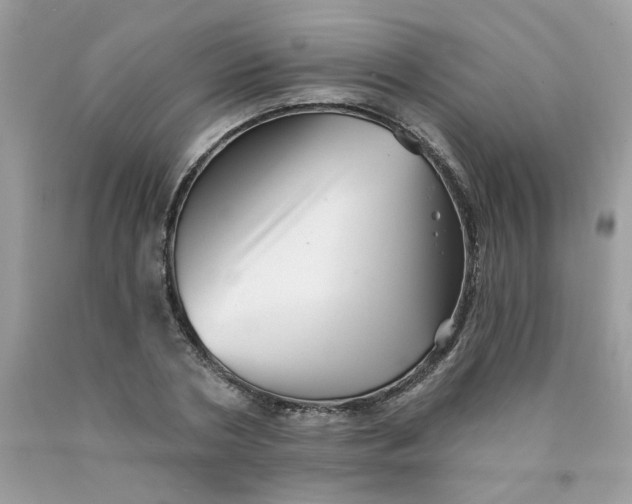 X0000089940786200707201902