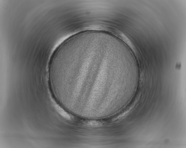 X0000089940787200707201902