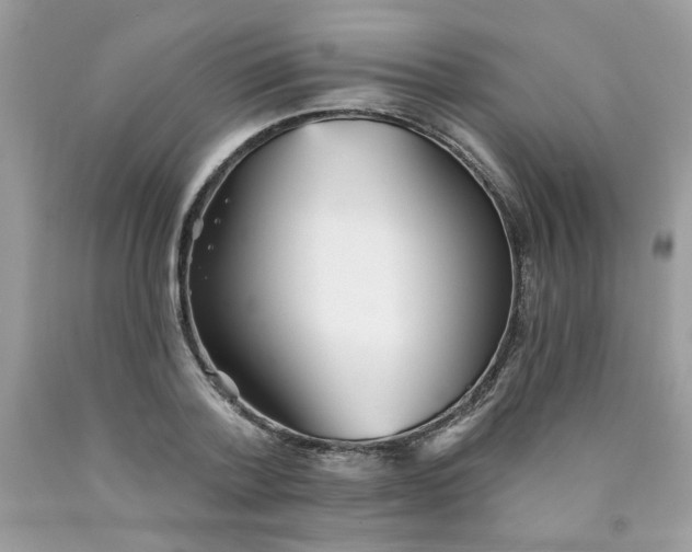 X0000089940788200707201902