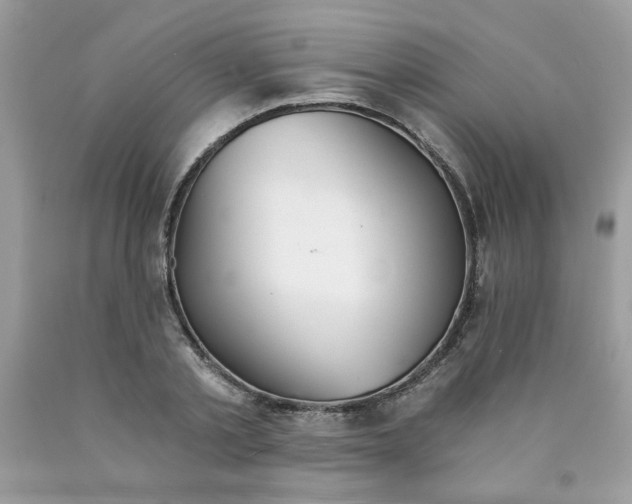 X0000089940789200707201902