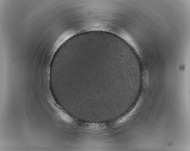 X0000089940790200707201902