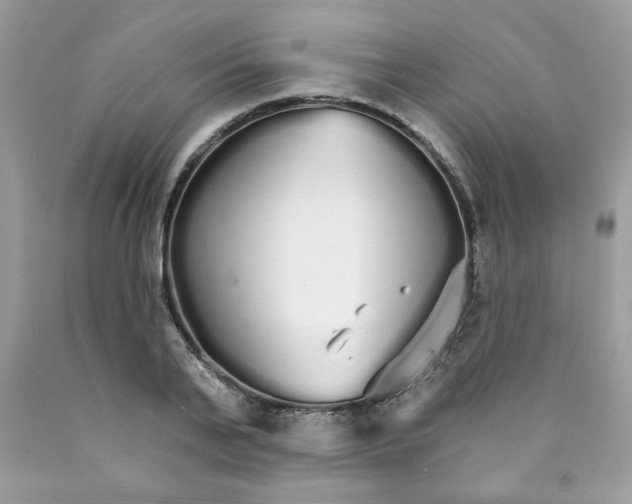 X0000089940791200707201902