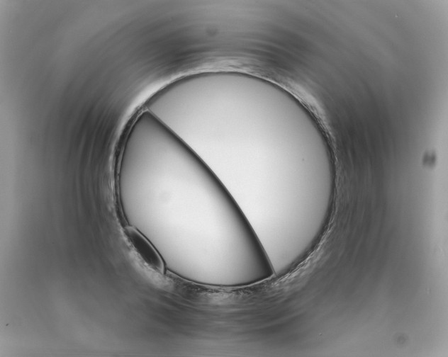 X0000089940792200707201902