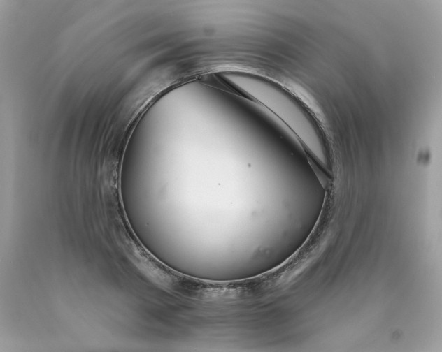 X0000089940793200707201902