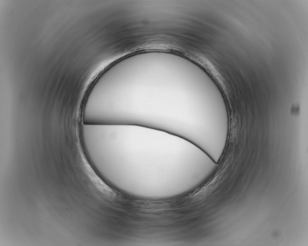 X0000089940795200707201902