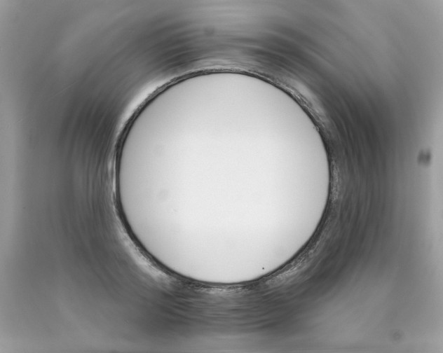 X0000089940796200707201902