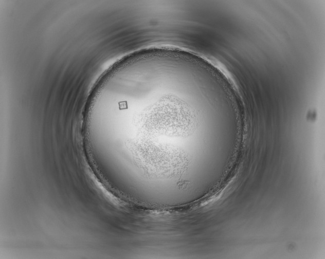 X0000089940799200707201902