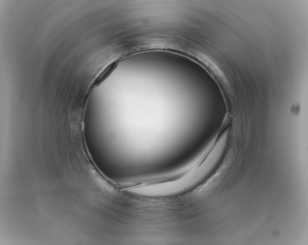 X0000089940801200707201902