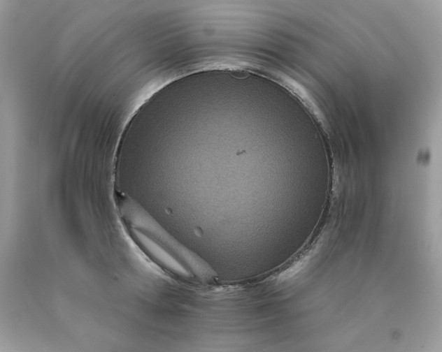 X0000089940802200707201902