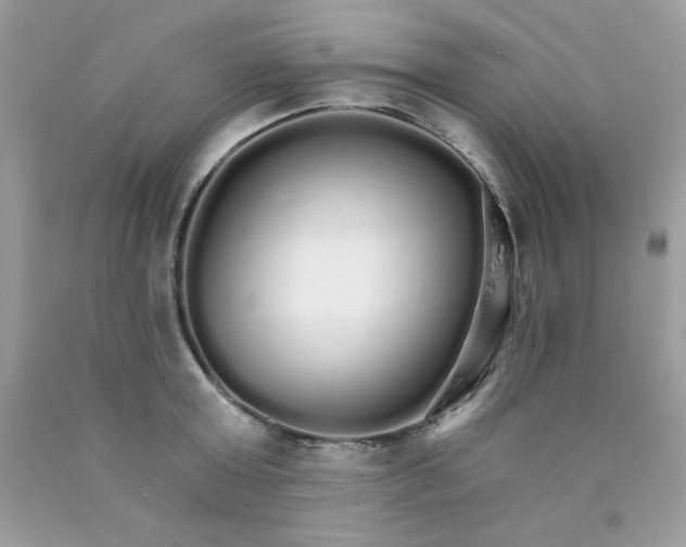 X0000089940803200707201902