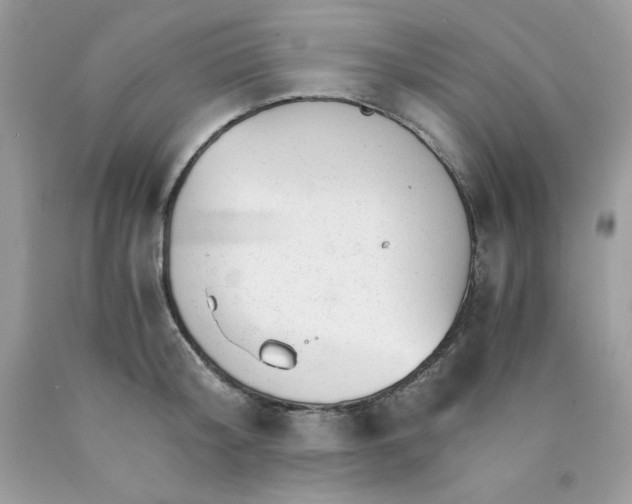 X0000089940804200707201902