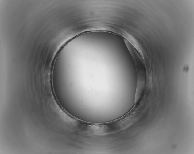 X0000089940805200707201902