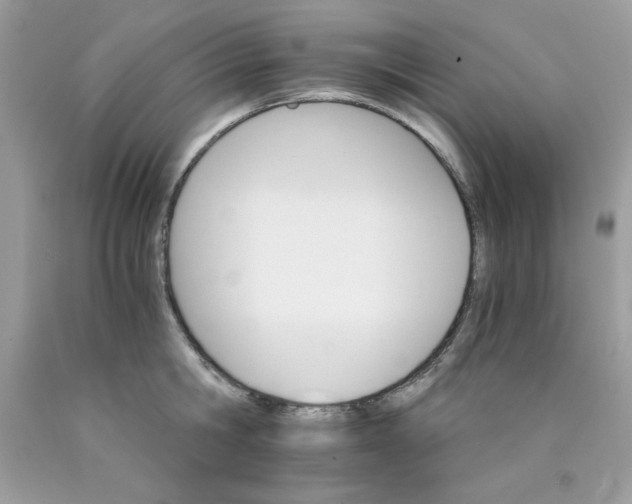 X0000089940806200707201902