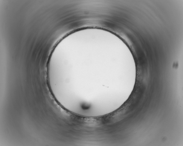 X0000089940807200707201902