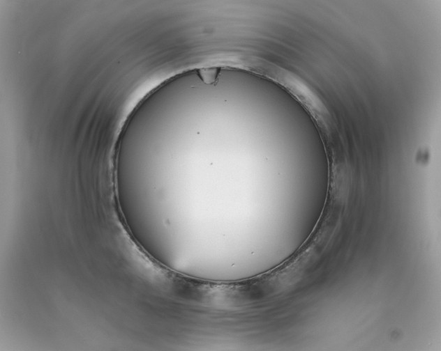 X0000089940808200707201902