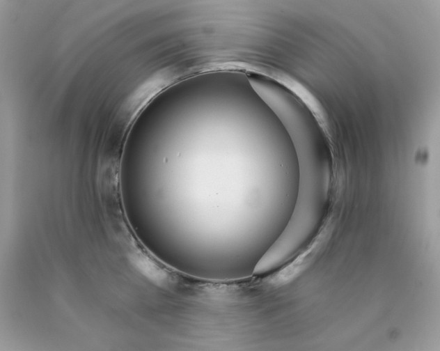 X0000089940809200707201902