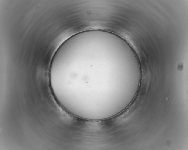 X0000089940810200707201902