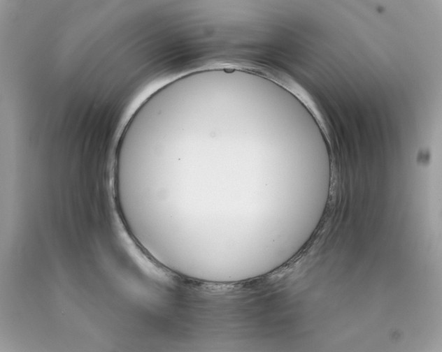 X0000089940811200707201902