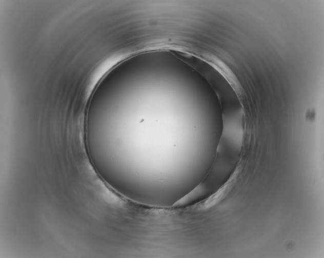 X0000089940812200707201902