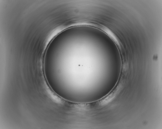 X0000089940813200707201902