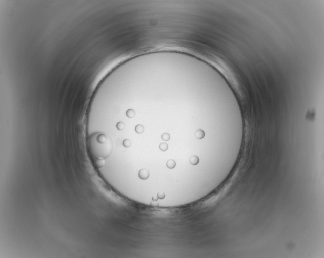 X0000089940814200707201901