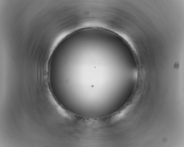 X0000089940815200707201901