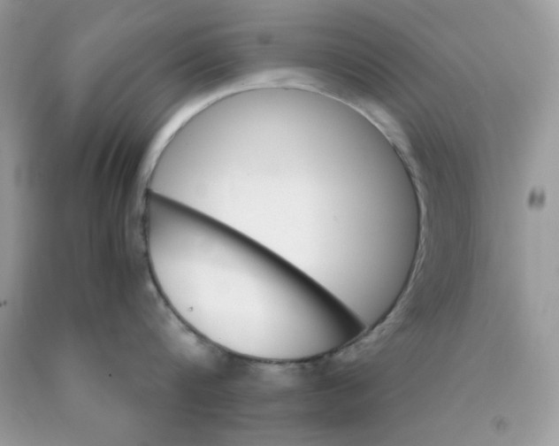 X0000089940816200707201901