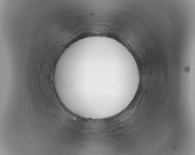 X0000089940817200707201901